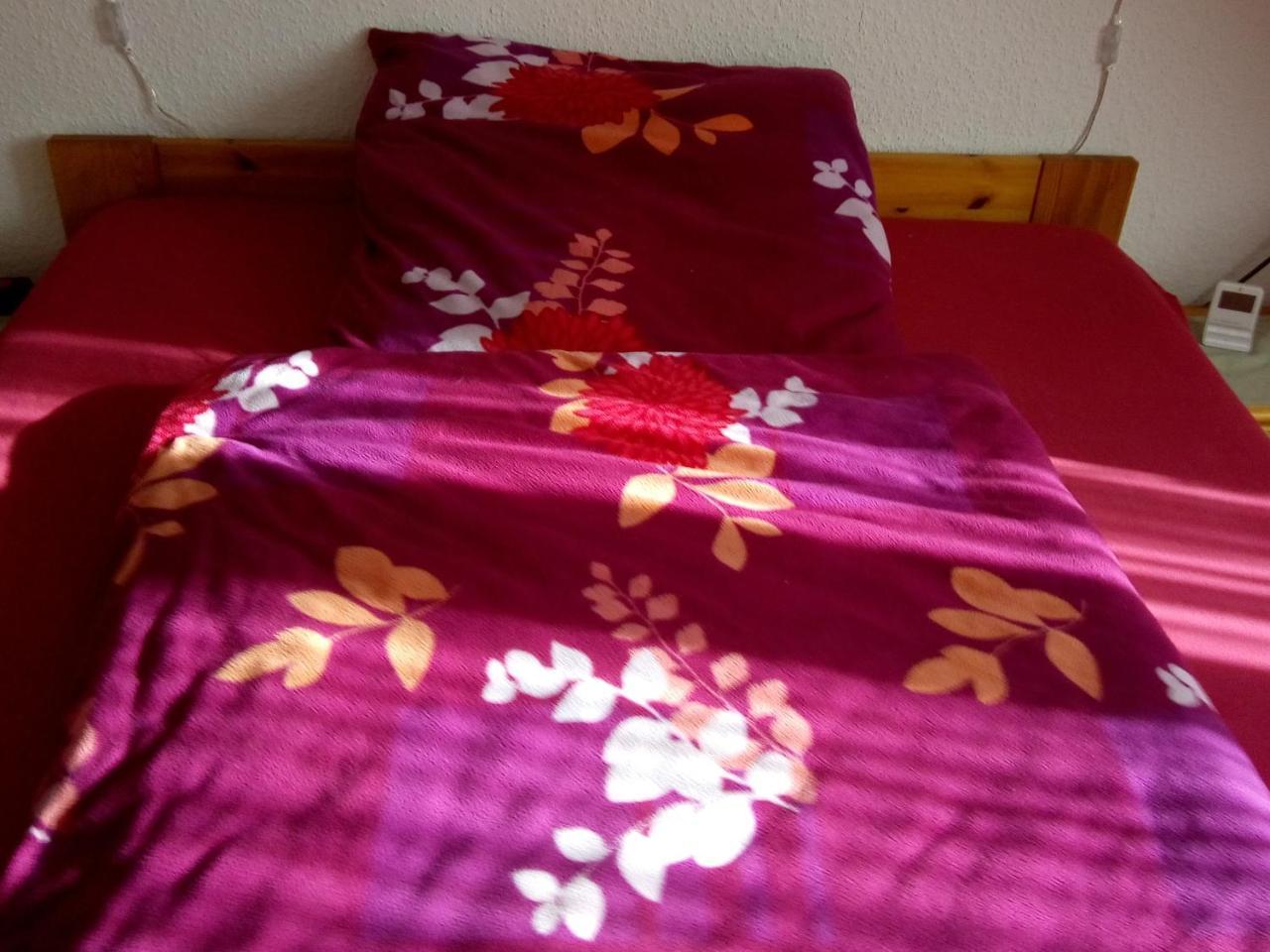 Monteurhotel Garni Alter Olper Hof Lindlar Εξωτερικό φωτογραφία